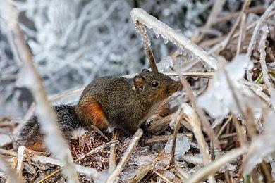Epic游戏商城将新增评分与投票功能 还可防差评轰炸
