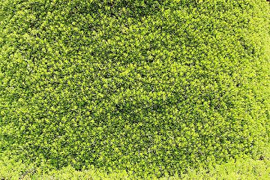 像素动作探索游戏《奇美拉之剑》明春登陆Switch